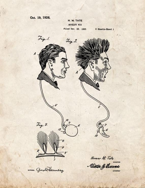 Novelty Wig Patent Print